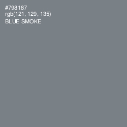 #798187 - Blue Smoke Color Image